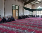 دوره آموزشی" تولید و پرورش قارچ خوراکی دکمه ای"
