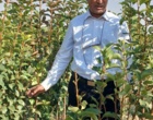 از نهالستان‌های خراسان شمالی