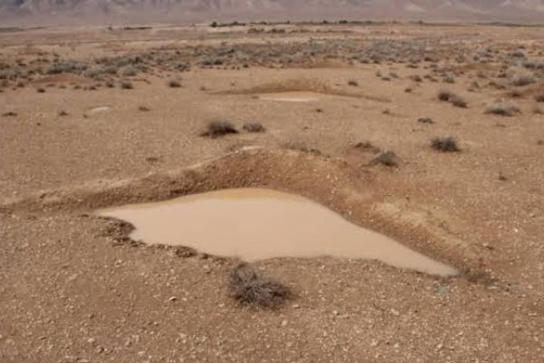 بهره‌برداری‌های اقتصادی از بیابان با مطالعات استعدادیابی