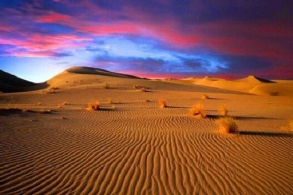 انجام بهره‌برداری اقتصادی در مناطق بیابانی فقط در زمین‌های کشاورزی