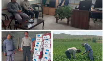 از مزارع گندم و انبار توزیع بذر پنبه شهرستان مانه