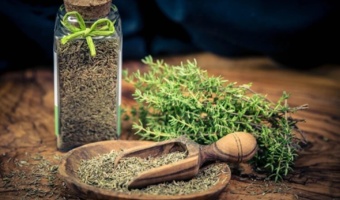 اهلی سازی چهار گیاه دارویی در استان خراسان شمالی