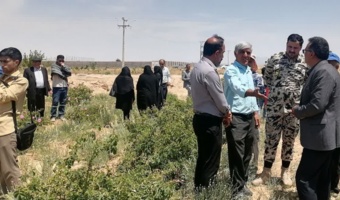 برگزاری روز مزرعه گل محمدی در استان خراسان شمالی