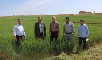 بکارگیری دانش فنی ، پایداری تولید در شرایط تغییر اقلیم