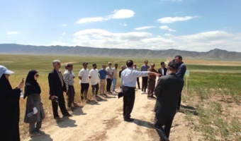 روز مزرعه در مزرعه الگویی PVS