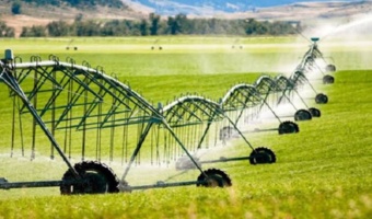 مطالبه‌ای راهبردی برای ارتقای بهره‌وری در کشاورزی خراسان‌شمالی؛