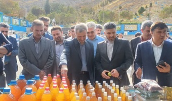 پنل تخصصی رویداد دانش‌بنیان سیب شیروان، امروز در محل هتل رضا شیروان برگزار شد.