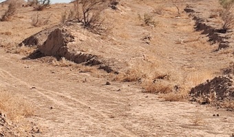"طراحی بهینه بادشکن برای مهار فرسایش بادی در کانونهای گرد و غبار و ماسه های روان"
