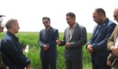 رسیدن به خودکفایی محصولات کشاورزی و پایداری تولید در گرو تولید و تامین و استفاده از بذر اصلاح شده