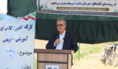 ۲ هزار مزرعه الگویی در کشور ایجاد شد