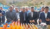 پنل تخصصی رویداد دانش‌بنیان سیب شیروان، امروز در محل هتل رضا شیروان برگزار شد.