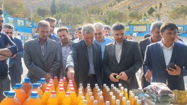 پنل تخصصی رویداد دانش‌بنیان سیب شیروان، امروز در محل هتل رضا شیروان برگزار شد.